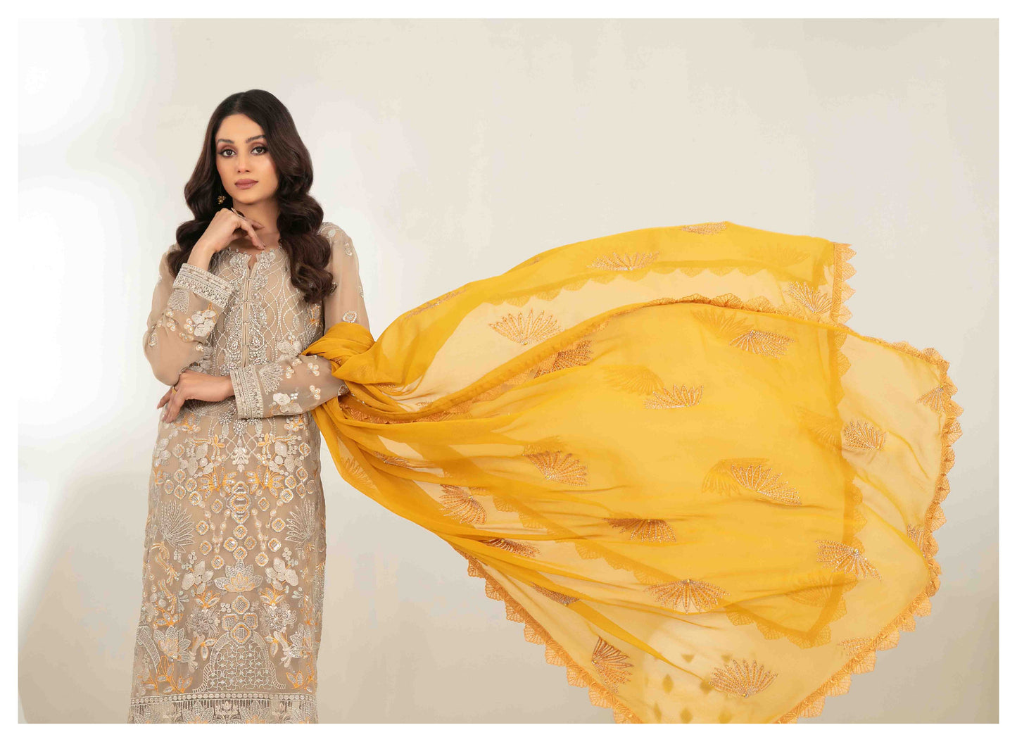 MEHZEBEEN 3-Piece Embroidered Chiffon Suit | D-5598  | Elegant Semi-Stitched